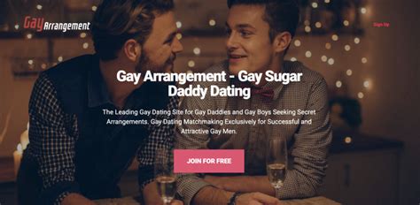 sugardaddy gay|The Ultimate Guide to Gay Sugar Daddy Dating Sites